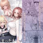 【同人】父の再婚で始まった同居が、義母と義娘姉妹との家庭内ハーレムになっちゃう本だよ 表紙画像